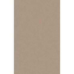 ARCH.BEIGE (4040057) 45x90 Керамогранит