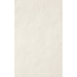 ARCH.WHITE ANTIBACTERIAL (4045752) 45x90 Керамогранит