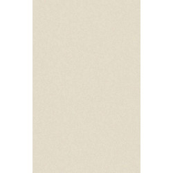 ARCH.LIGHT IVORY ANTIBACTERIAL (4045753) 45x90 Керамогранит