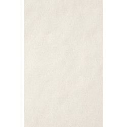 ARCH.WHITE GLOSS (4046452) 45x90 Керамогранит