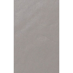 ARCH.LIGHT GREY GLOSS (4046454) 45x90 Керамогранит