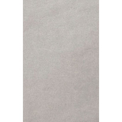 ARCH.COOL GREY GLOSS (4046455) 45x90 Керамогранит