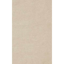 ARCH.DARK IVORY GLOSS (4046456) 45x90 Керамогранит