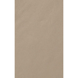 ARCH.BEIGE GLOSS (4046457) 45x90 Керамогранит