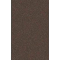 ARCH.LIGHT BROWN (4790150) 30x60 Керамогранит