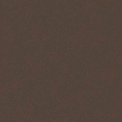 ARCH.LIGHT BROWN ANTIBACTERIAL (4955750) 60x60 Керамогранит