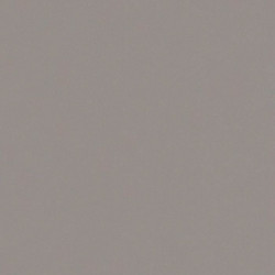 ARCH.WARM GREY GLOSS (4956447) 60x60 Керамогранит