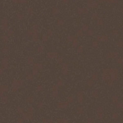 ARCH.LIGHT BROWN (4990050) 90x90 Керамогранит