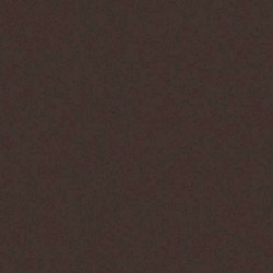 ARCH.DARK BROWN (4990051) 90x90 Керамогранит