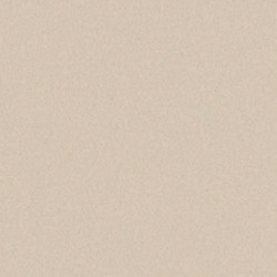 ARCH.DARK IVORY (4990056) 90x90 Керамогранит