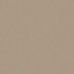 ARCH.BEIGE (4990057) 90x90 Керамогранит