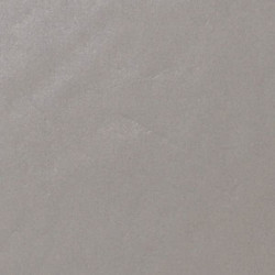 ARCH.LIGHT GREY ANTIB. GLOSS (4993854) 90x90 Керамогранит