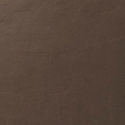 ARCH.LIGHT BROWN GLOSS (4996450) 90x90 Керамогранит