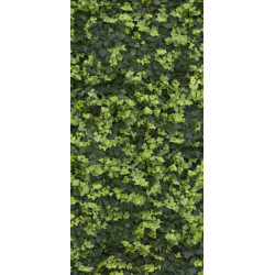 HELIX (11560022) 120x240 Керамогранит