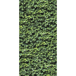 ARBOREA (11560023) 120x240 Керамогранит