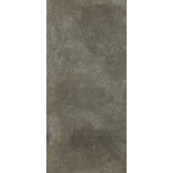 QUEENS (10790089) 30x60 Керамогранит