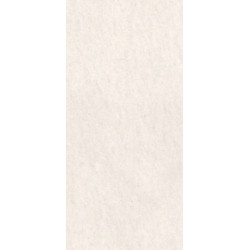 BIANCO VIETNAM (10490001) 90x180 Керамогранит