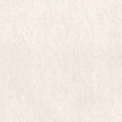 BIANCO VIETNAM LUCIDO (10680201) 88x88 Керамогранит