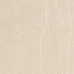 FIORITO LUCIDO (10680202) 88x88 Керамогранит