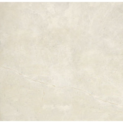 TOZZETTO BRECCIA ARGENTO LUCID (2445030) 9,8x9,8 Керамогранит