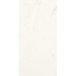 STATUARIO GRIGIO (2460017) 59x118 Керамогранит