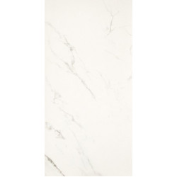 STATUARIO GRIGIO LUCIDO (2464617) 59x118  Керамогранит Старый Артикул