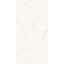 STATUARIO GRIGIO LUCIDO ANTIBA (2464717) 59x118 Керамогранит