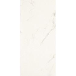 STATUARIO GRIGIO LUCIDO (2670217) 88x176 Керамогранит