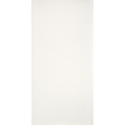 CANOVA LUCIDO (2790131) 29,5x59 Керамогранит