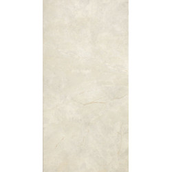 BRECCIA ARGENTO LUCIDO (2940230) 29,5x118 Керамогранит