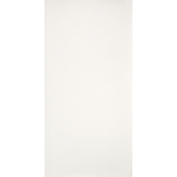 CANOVA LUCIDO (2940231) 29,5x118 Керамогранит
