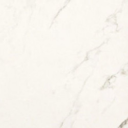 STATUARIO GRIGIO LUCIDO (2950217) 59x59 Керамогранит