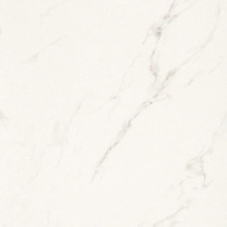 STATUARIO GRIGIO (2990017) 90x90 Керамогранит