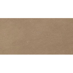 METEOR NOCE ANTIBACTERIAL (7795761) 30x60 Керамогранит