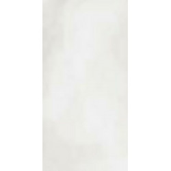 R-EVOLUTION TOTAL WHITE (11460026) 60x120 Керамогранит