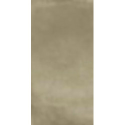 R-EVOLUTION TORTORA (11460029) 60x120 Керамогранит