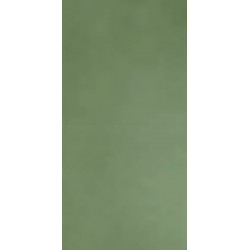 R-EVOLUTION GREEN (11460034) 60x120 Керамогранит