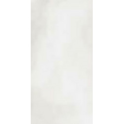 R-EVOLUTION TOTAL WHITE *36SC* (11460126) 60x120 Керамогранит