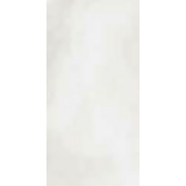 R-EVOLUTION TOTAL WHITE *36SC* (11460126) 60x120 Керамогранит