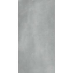 R-EVOLUTION GREY *36SC* (11460128) 60x120 Керамогранит