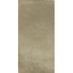 R-EVOLUTION TORTORA *36SC* (11460129) 60x120 Керамогранит