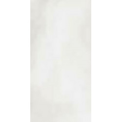 R-EVOLUTION TOTAL WHITE (11490026) 90x180 Керамогранит