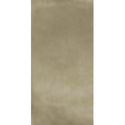 R-EVOLUTION TORTORA (11790029) 30x60 Керамогранит