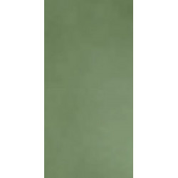 R-EVOLUTION GREEN (11790034) 30x60 Керамогранит