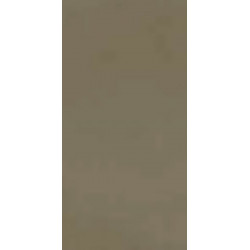 R-EVOLUTION TERRA (11790036) 30x60 Керамогранит