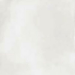 R-EVOLUTION TOTAL WHITE (11950026) 60x60 Керамогранит