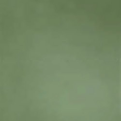 R-EVOLUTION GREEN (11950034) 60x60 Керамогранит