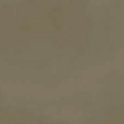 R-EVOLUTION TERRA (11950036) 60x60 Керамогранит