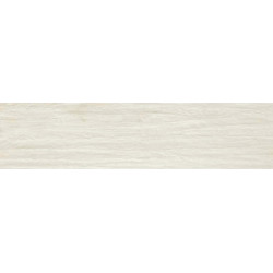 TAVOLATO SBIANCATO (3460066) 60x120 Керамогранит
