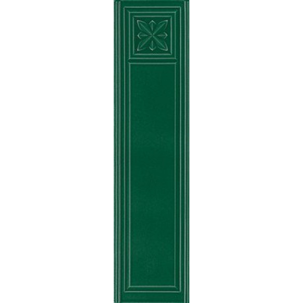 MEDICI 20X80 BOTTLE C. (MED6) 20X80 Керамическая плитка